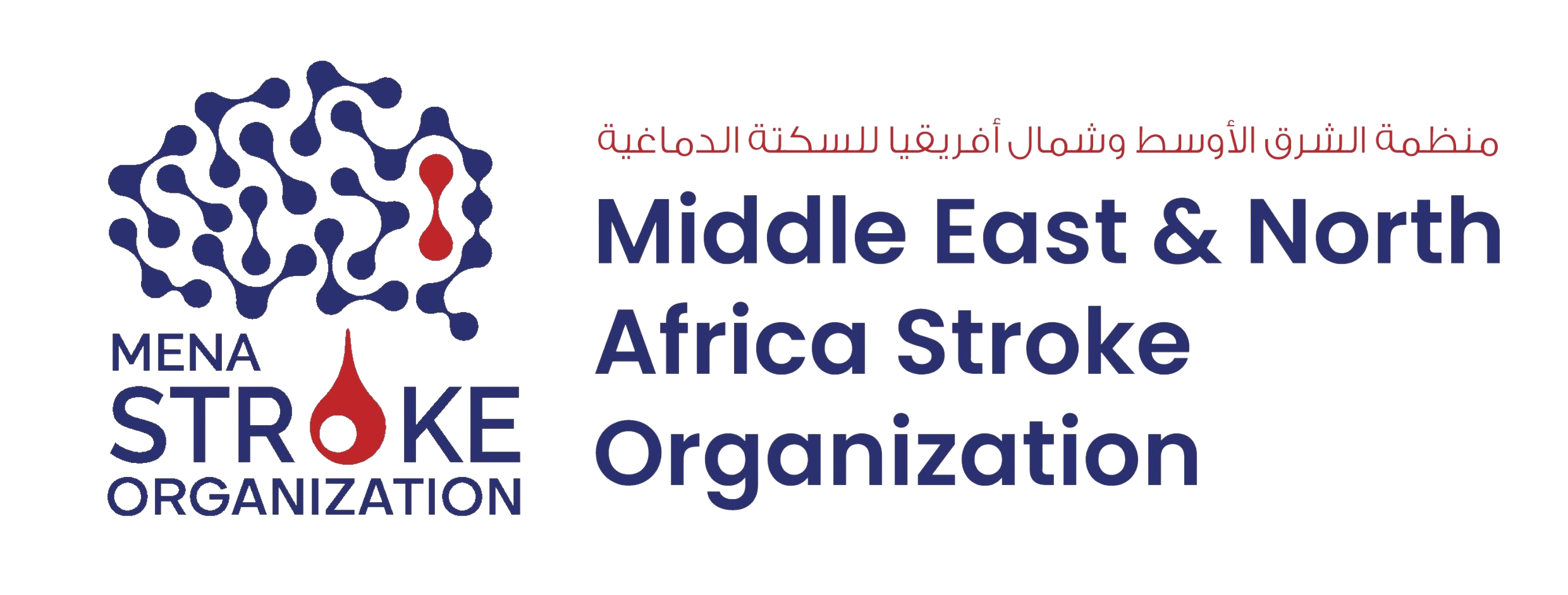 Middle East and North Africa Stroke Organization (MENASO)